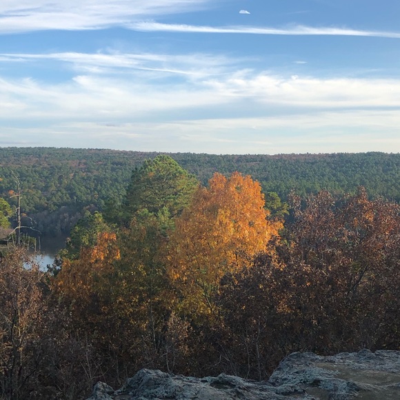 Meet your Posh Ambassador, Sharona Farmer. - Picture 1 of 1